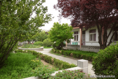 2025年成功措置急性心梗、脑卒中等急症3