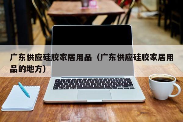 广东供应硅胶家居用品（广东供应硅胶家居用品的地方）